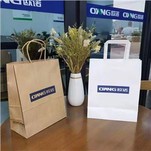 স্কোয়ার বটম পেপার ব্যাগ